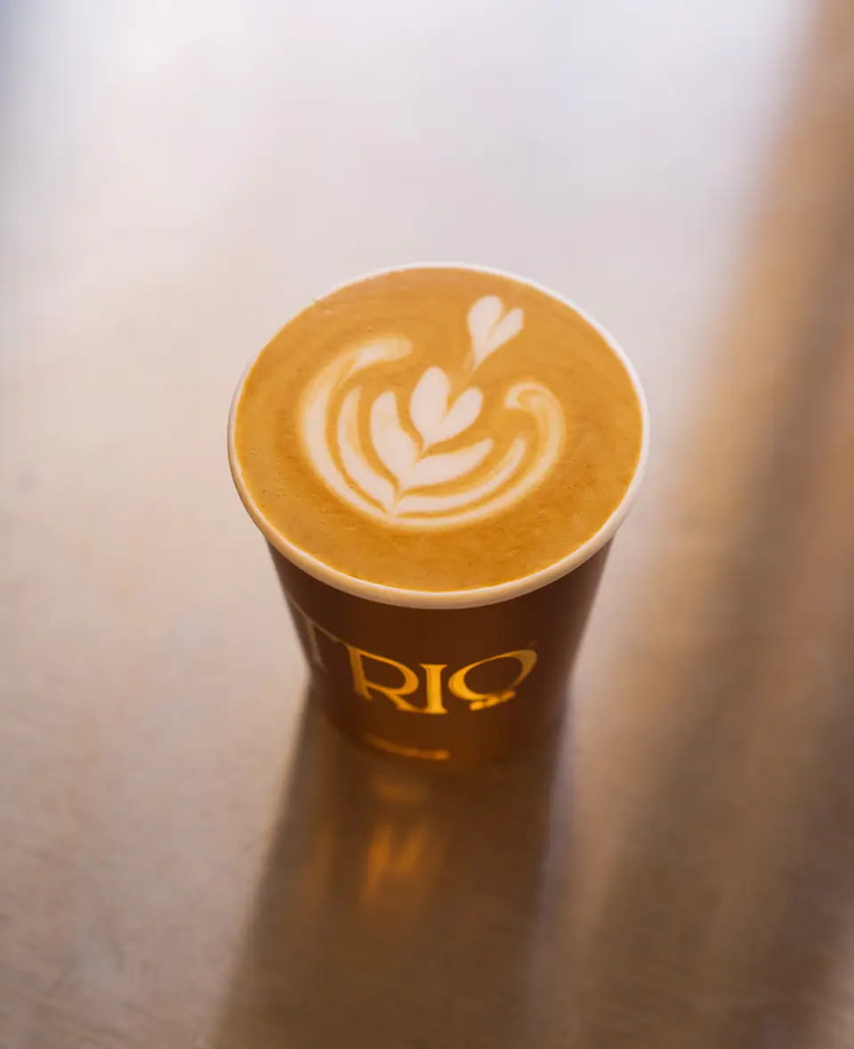 Top-down view of a latte with a tulip pour in a terracotta TRIO cup on a sunlit counter