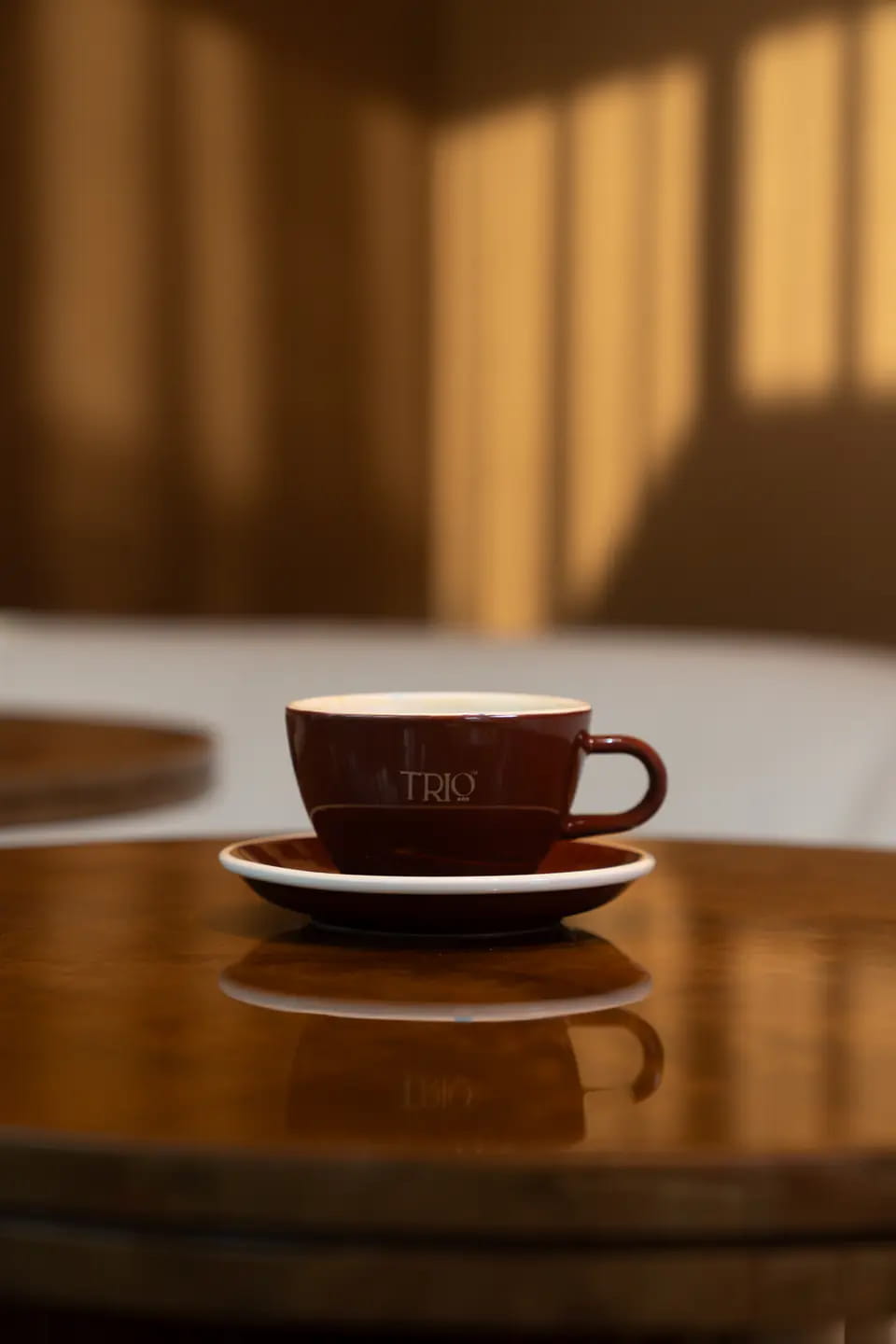 A brown TRIO cup and saucer on a glossy walnut table, bars of sunlight on the wall behind